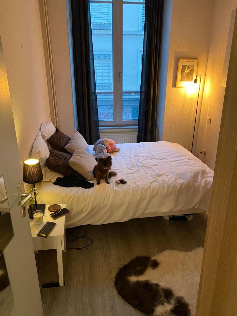 appartement 2 pièces - LYON